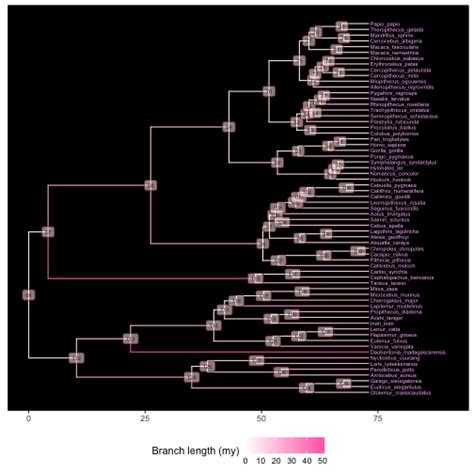ggtree basics .